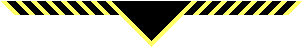 Discovery wear the 2nd Beeston (Sea Scout) necker