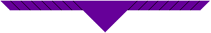 Our District Explorer Scout necker is "Scout Purple"