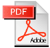 MS Word